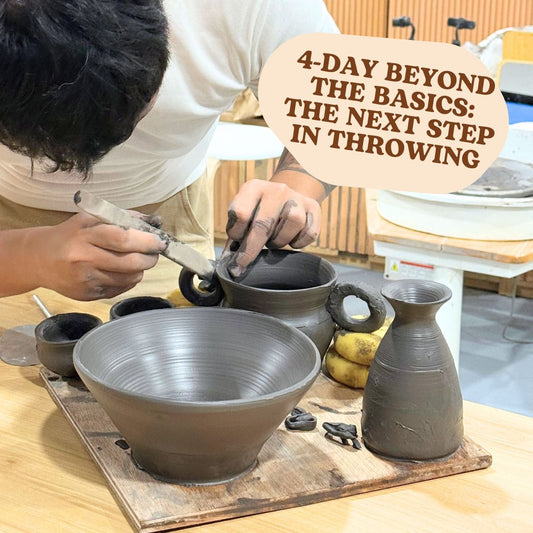 4-day Beyond the Basics: The Next Step in Throwing